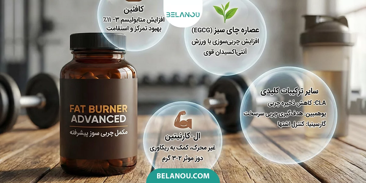 عملکرد چربی سوزها در بدن