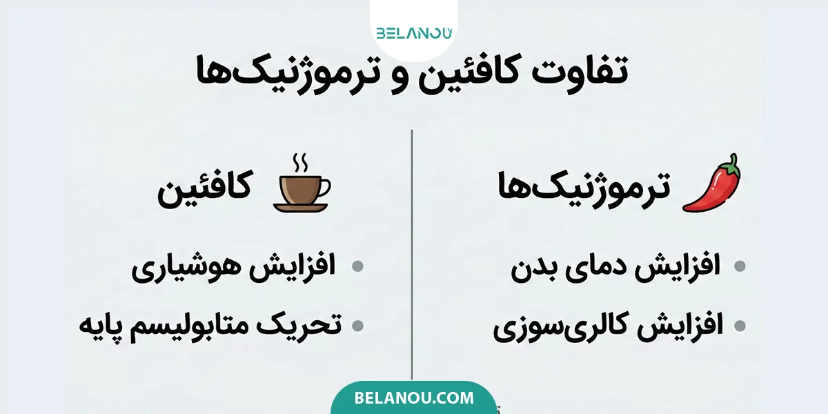 تفاوت کافئین و ترموژنیک