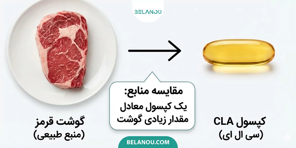 منابع طبیعی CLA در برابر مکمل‌ها

