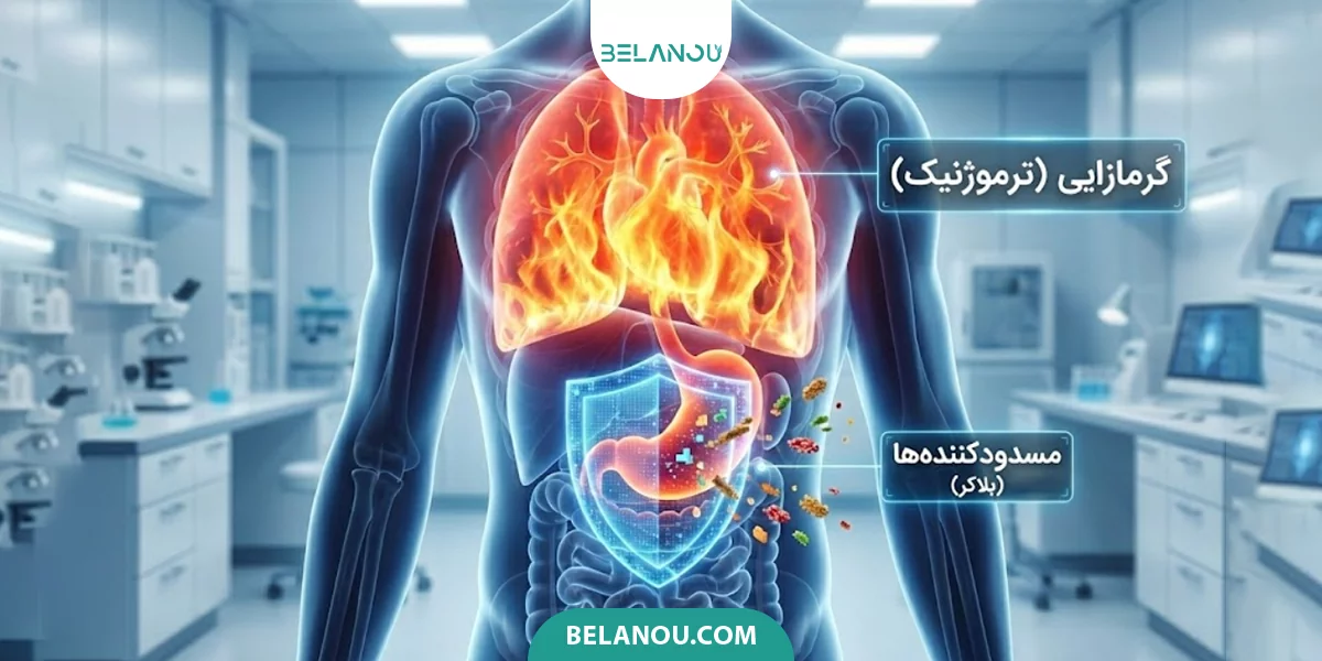 تاثیر مکمل های کربوبلاکر روی لاغری