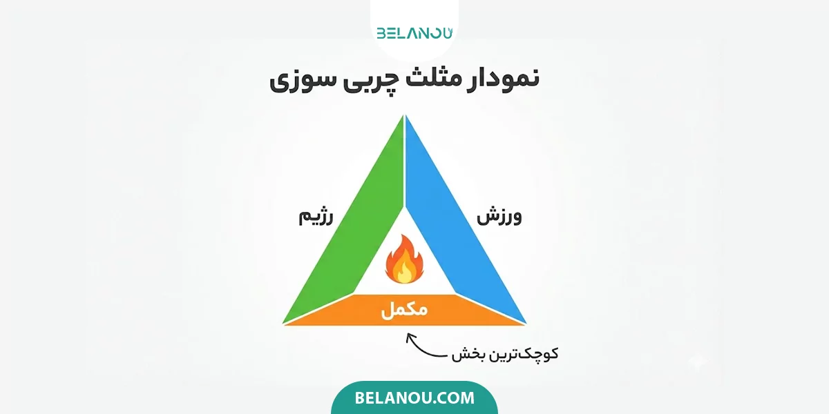 مثلث چربی سوزی 