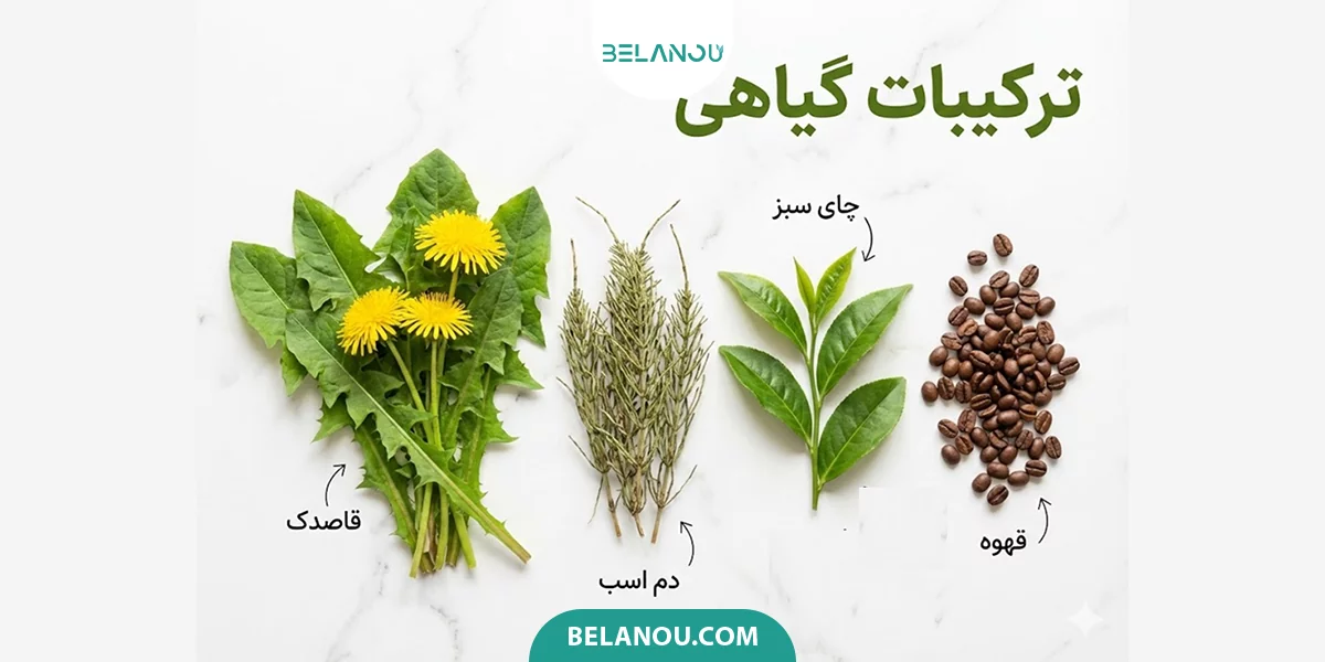 ترکیبات گیاهی برای مکمل دیورتیک