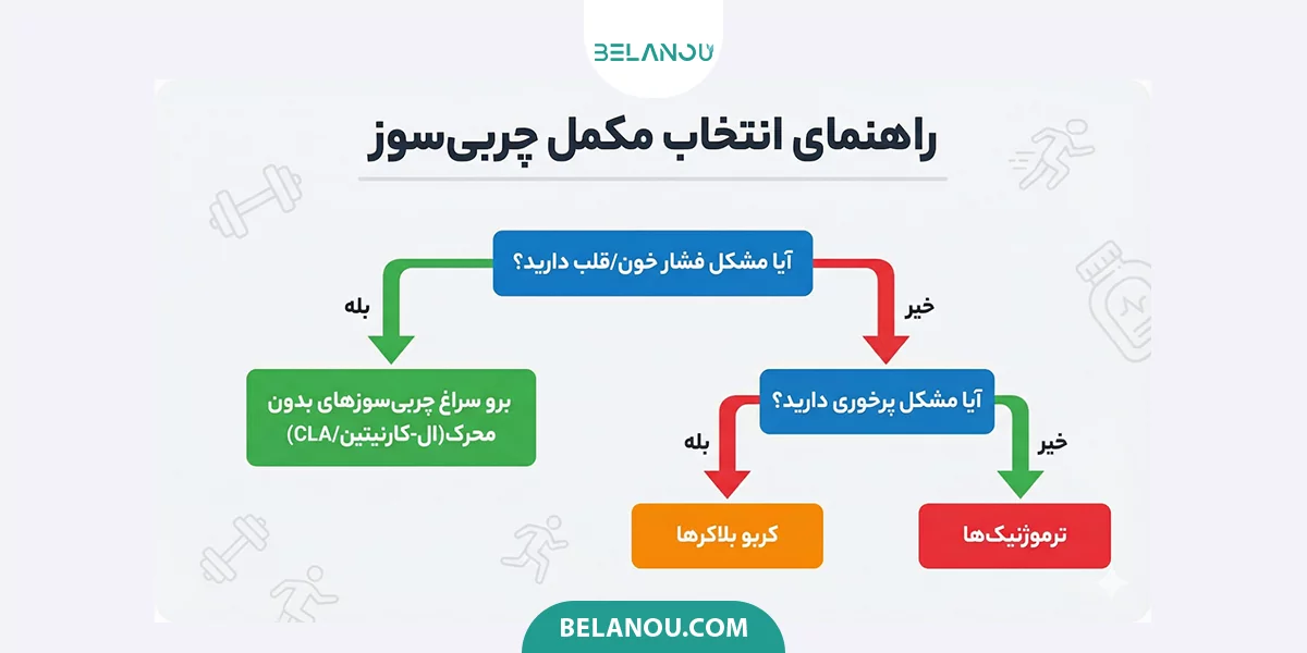 راهنمای انتخاب مکمل چربی سوز 
