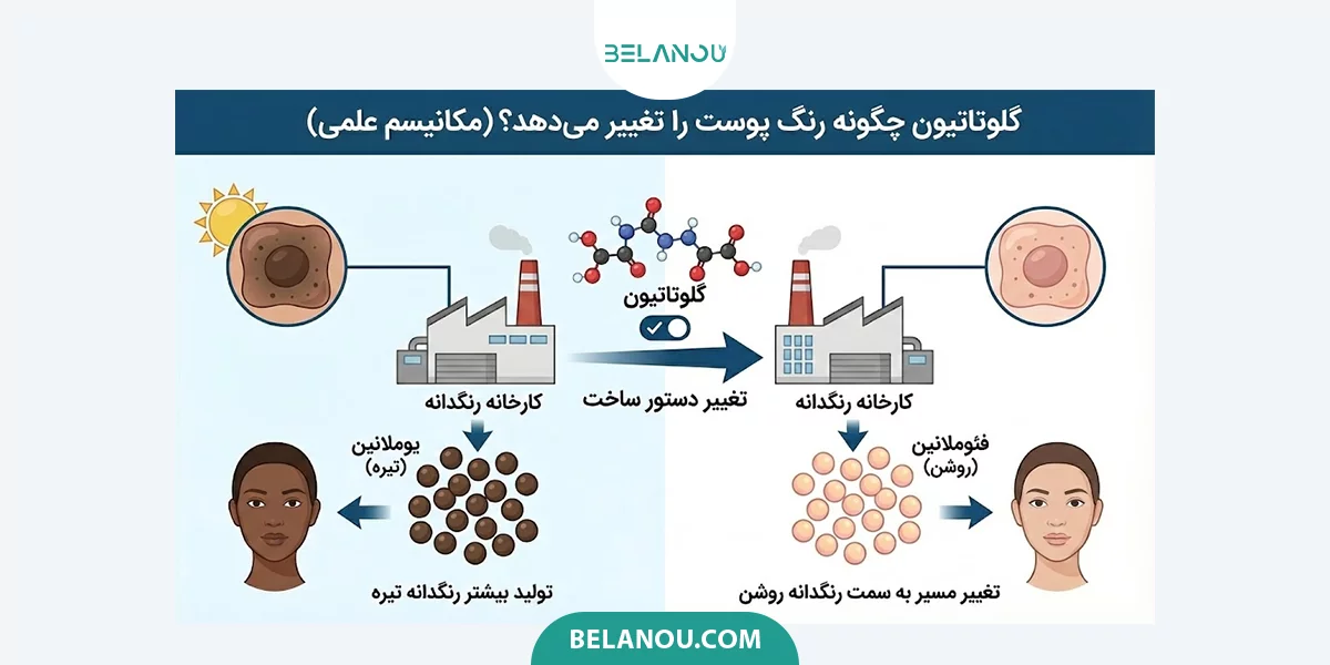 گلوتاتیون چگونه رنگ پوست را تغییر می‌دهد