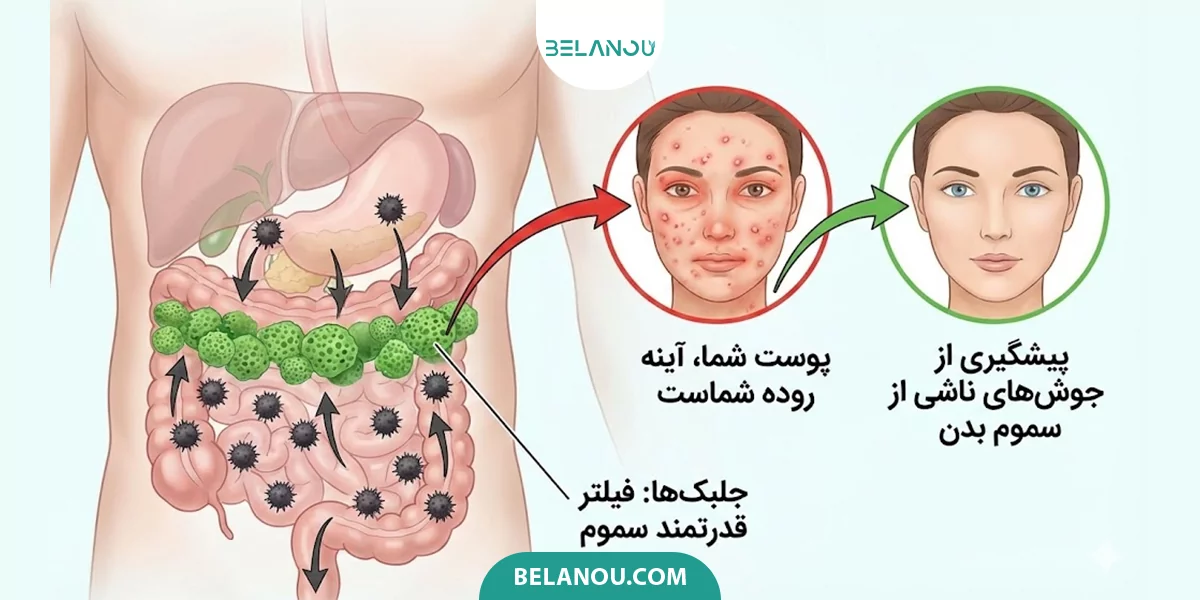 تاثیر خواص اسپیرولینا برای پوست از طریق روده