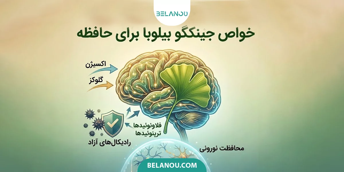 خواص جینکگو بیلوبا برای حافظه دانشجویان و کنکوریها