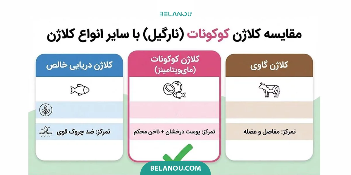 مقایسه کوکونات کلاژن با بقیه کلاژن ها