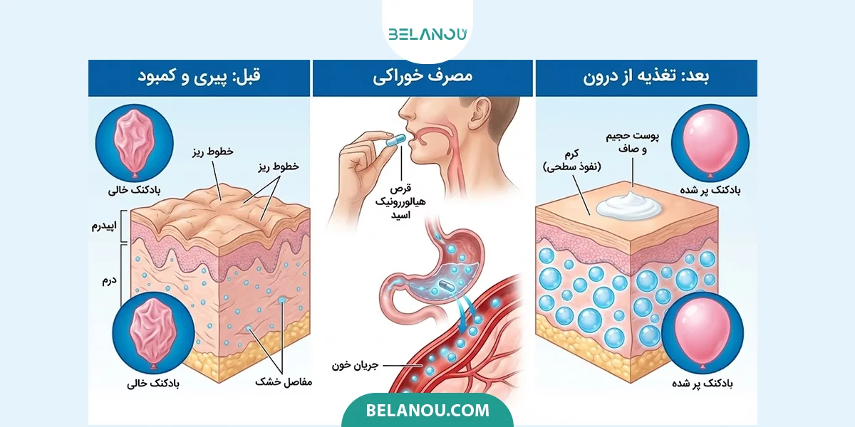 ساختار پوست با قرص هیالورونیک اسید